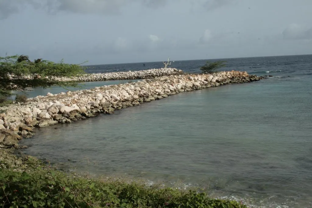 Dorado Divine Oceanview Apartments Βίλλεμσταντ